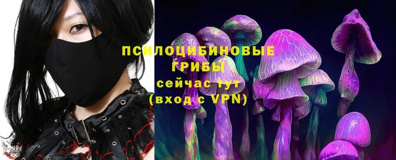 Галлюциногенные грибы Psilocybe  закладки  нарко площадка телеграм  Белая Холуница 